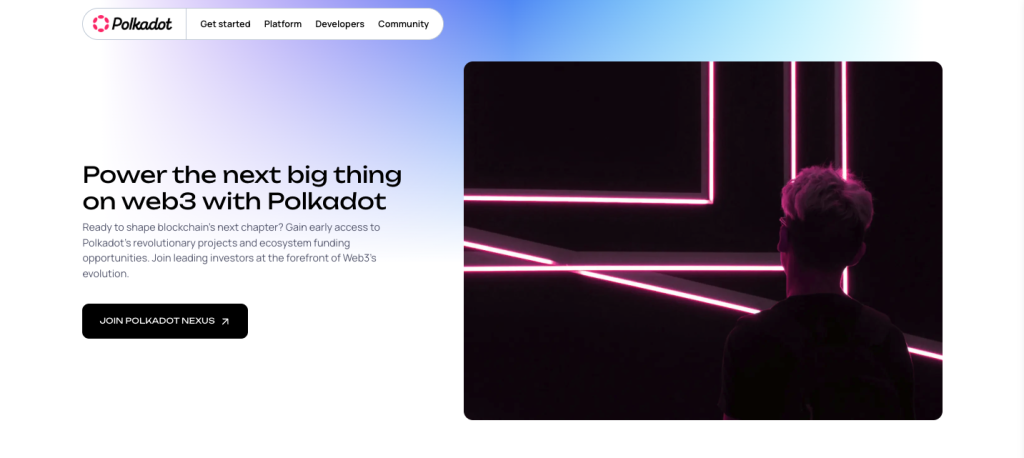 Polkadot VC and Investors landing page